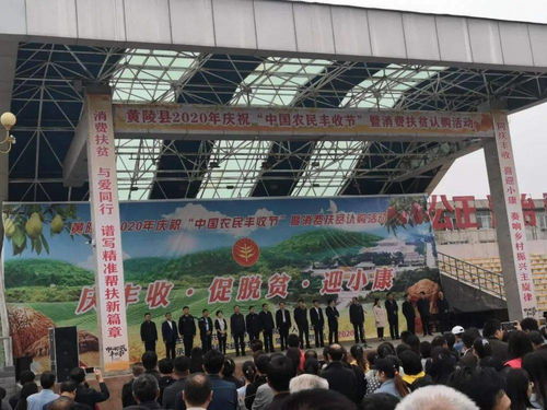 促增收，助脫貧——雙龍鎮(zhèn)參加全縣消費(fèi)扶貧產(chǎn)品展銷會(huì)，開展經(jīng)營助力打贏脫貧攻堅(jiān)戰(zhàn)